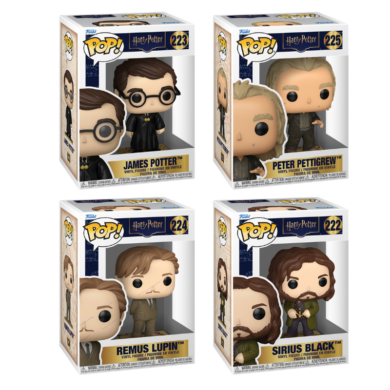 Funko Pop! Harry Potter: 4 Pack Bundle