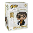 Funko Pop! Harry Potter With Hedwig (Mega 18") - Shak's Pop Shop
